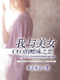 我与美女CEO的**之恋