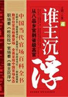 谁主沉浮1：从八品乡官到省级高官（中国当