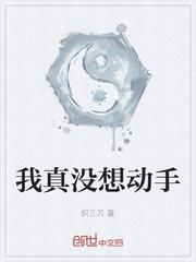 我真没想动手